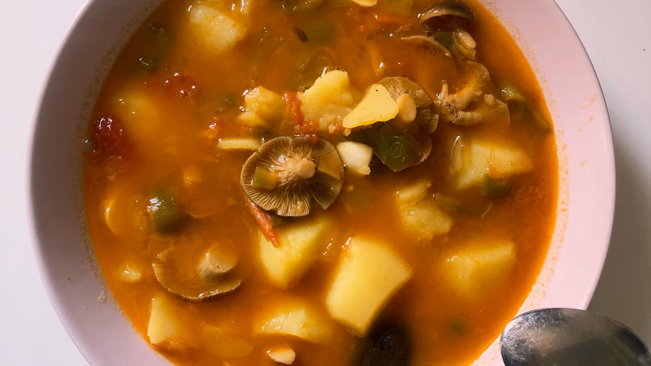 Sopa de legumes: receita completa com ingredientes e preparo