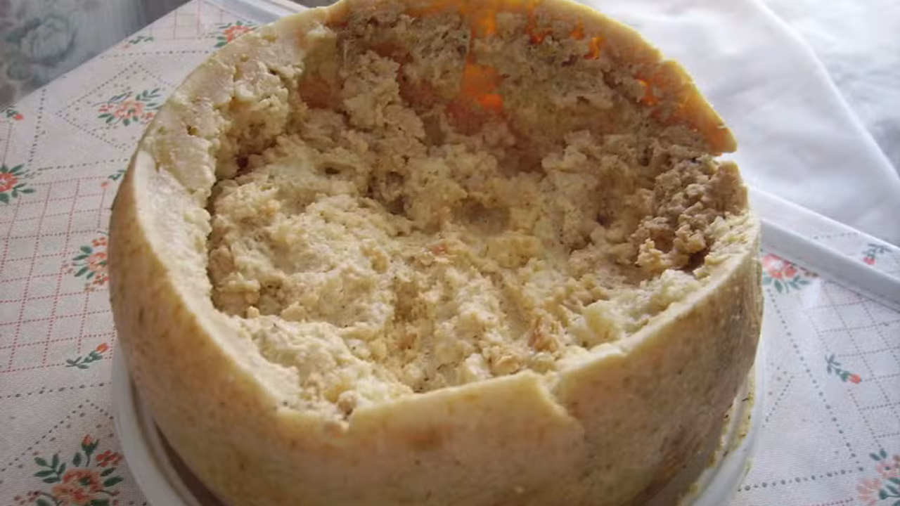 Casu marzu: o queijo com larvas vivas vetado na Itália